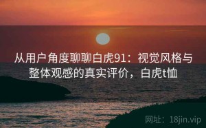 从用户角度聊聊白虎91：视觉风格与整体观感的真实评价，白虎t恤