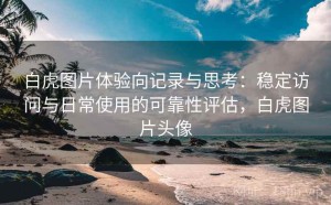 白虎图片体验向记录与思考：稳定访问与日常使用的可靠性评估，白虎图片头像