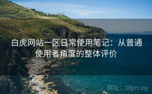 白虎网站一区日常使用笔记：从普通使用者角度的整体评价