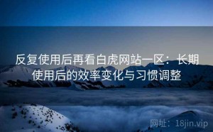 反复使用后再看白虎网站一区：长期使用后的效率变化与习惯调整