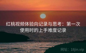 红桃视频体验向记录与思考：第一次使用时的上手难度记录