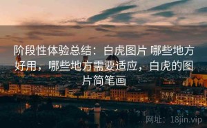 阶段性体验总结：白虎图片 哪些地方好用，哪些地方需要适应，白虎的图片简笔画