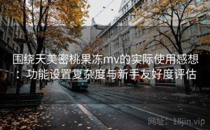 围绕天美密桃果冻mv的实际使用感想：功能设置复杂度与新手友好度评估