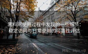黑料网使用过程中发现的一些细节：稳定访问与日常使用的可靠性评估