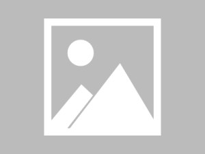 从用户角度聊聊白虎91：长期使用后的效率变化与习惯调整，白虎好嘛