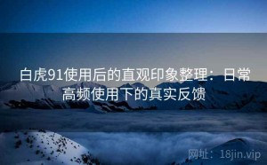 白虎91使用后的直观印象整理：日常高频使用下的真实反馈