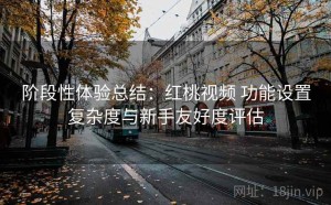 阶段性体验总结：红桃视频 功能设置复杂度与新手友好度评估