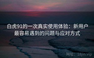 白虎91的一次真实使用体验：新用户最容易遇到的问题与应对方式
