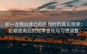 第一次用白虎自扣在线时的真实感受：长期使用后的效率变化与习惯调整