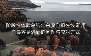 阶段性体验总结：白虎自扣在线 新用户最容易遇到的问题与应对方式