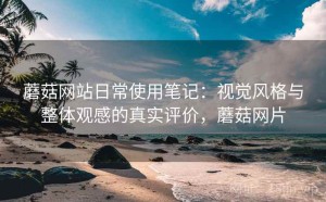 蘑菇网站日常使用笔记：视觉风格与整体观感的真实评价，蘑菇网片