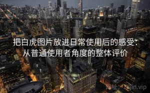 把白虎图片放进日常使用后的感受：从普通使用者角度的整体评价