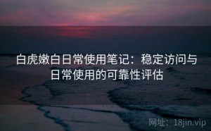 白虎嫩白日常使用笔记：稳定访问与日常使用的可靠性评估