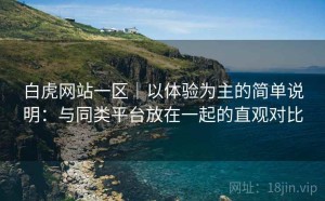 白虎网站一区｜以体验为主的简单说明：与同类平台放在一起的直观对比