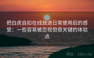 把白虎自扣在线放进日常使用后的感受：一些容易被忽视但很关键的体验点