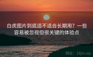 白虎图片到底适不适合长期用？一些容易被忽视但很关键的体验点