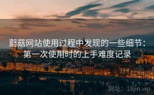 蘑菇网站使用过程中发现的一些细节：第一次使用时的上手难度记录