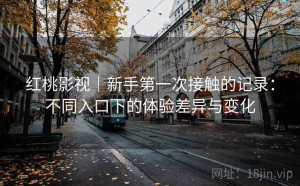 红桃影视｜新手第一次接触的记录：不同入口下的体验差异与变化