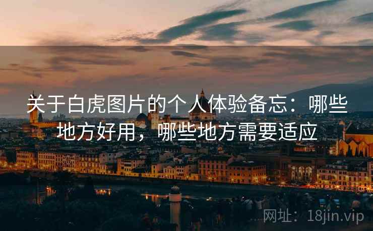 关于白虎图片的个人体验备忘：哪些地方好用，哪些地方需要适应