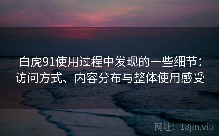 白虎91使用过程中发现的一些细节：访问方式、内容分布与整体使用感受