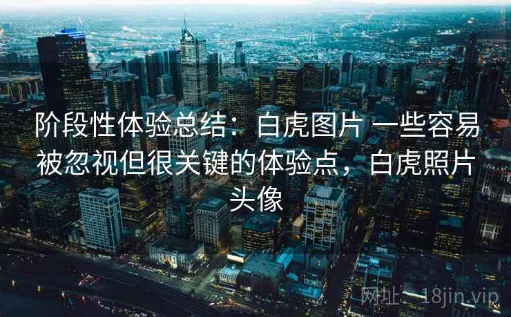 阶段性体验总结：白虎图片 一些容易被忽视但很关键的体验点，白虎照片头像