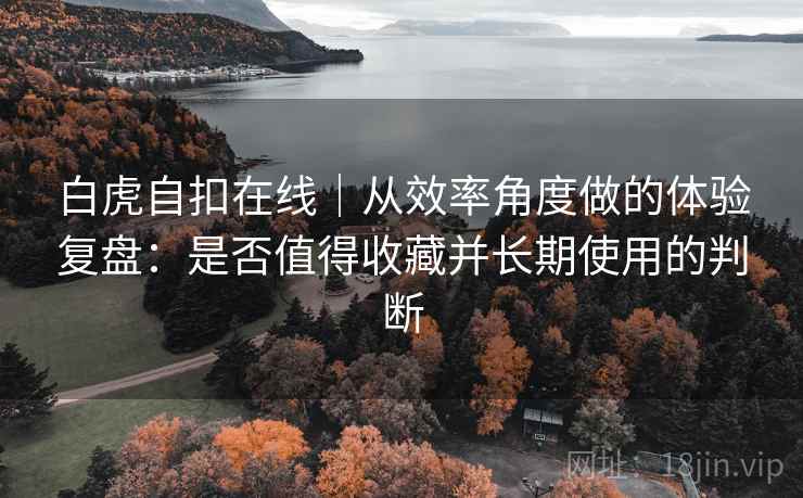 白虎自扣在线｜从效率角度做的体验复盘：是否值得收藏并长期使用的判断