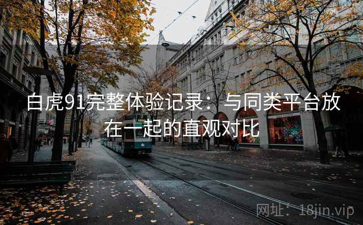 白虎91完整体验记录：与同类平台放在一起的直观对比
