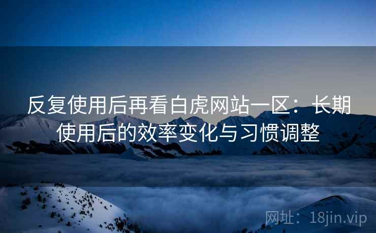 反复使用后再看白虎网站一区：长期使用后的效率变化与习惯调整