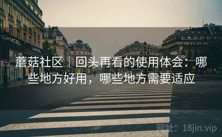 蘑菇社区｜回头再看的使用体会：哪些地方好用，哪些地方需要适应