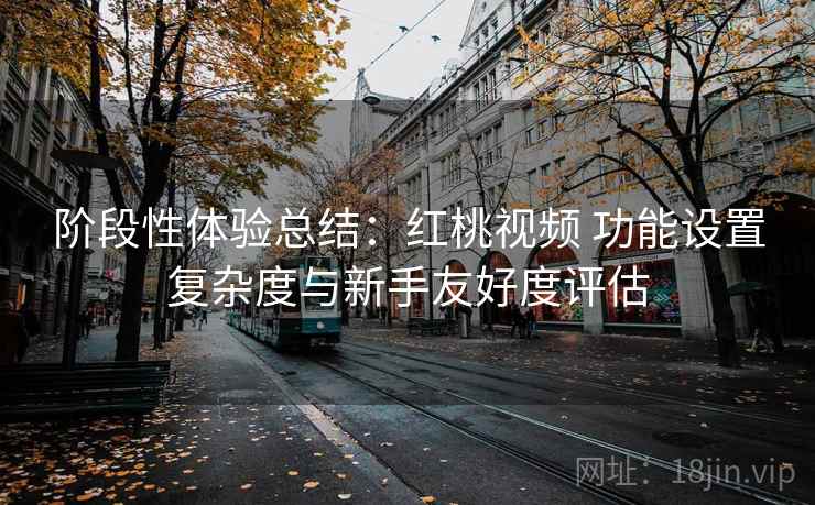 阶段性体验总结：红桃视频 功能设置复杂度与新手友好度评估