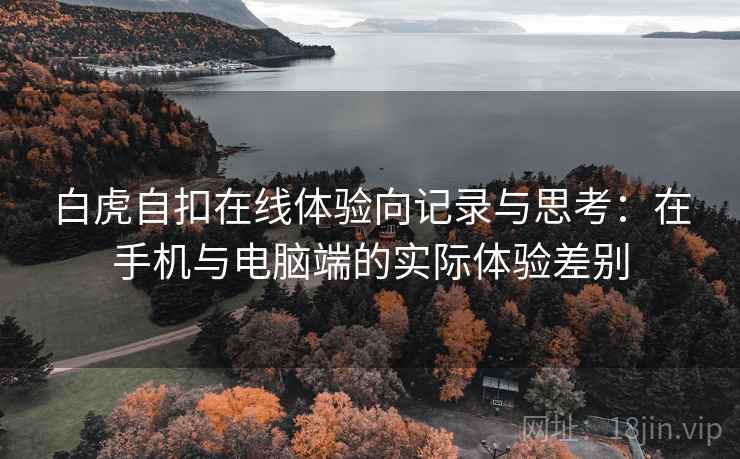 白虎自扣在线体验向记录与思考：在手机与电脑端的实际体验差别