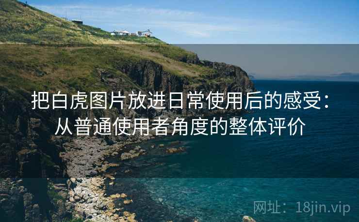 把白虎图片放进日常使用后的感受:从普通使用者角度的整体评价 把白虎图片放进日常使用后的感受:从普通使用者角度的整体评价