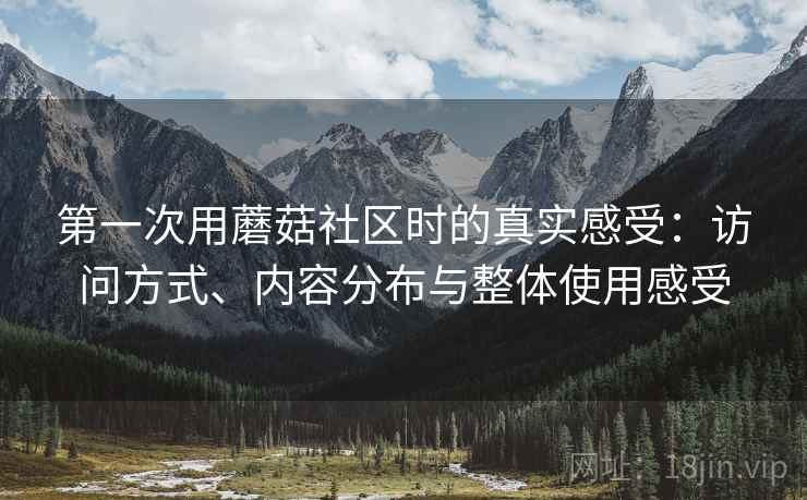 第一次用蘑菇社区时的真实感受:访问方式、内容分布与整体使用感受 第一次用蘑菇社区时的真实感受:访问方式、内容分布与整体使用感受