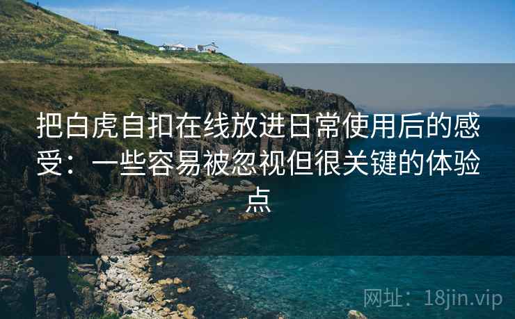把白虎自扣在线放进日常使用后的感受：一些容易被忽视但很关键的体验点